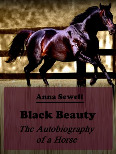 What breed was Black Beauty the horse?