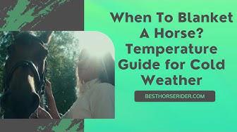 'Video thumbnail for When To Blanket A Horse? Temperature Guide for Cold Weather'