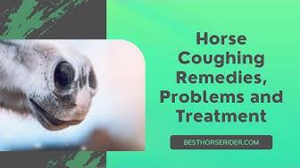 'Video thumbnail for Horse Coughing Remedies, Problems and Treatment'
