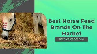 'Video thumbnail for Best Horse Feed Brands On The Market'