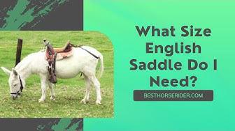 'Video thumbnail for What Size English Saddle Do I Need?'