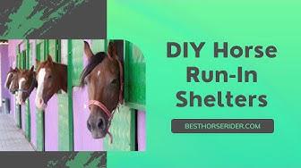 'Video thumbnail for DIY Horse Run-In Shelters'
