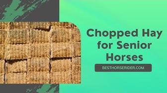 'Video thumbnail for Chopped Hay for Senior Horses'