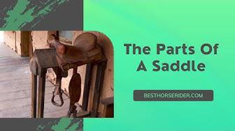 'Video thumbnail for The Parts Of A Saddle'