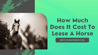 'Video thumbnail for How Much Does It Cost To Lease A Horse'