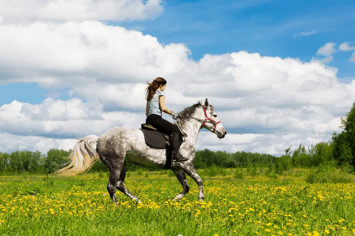 What to Wear Horseback Riding for the First Time