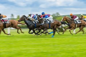 Famous Derby Horse Names and Meanings