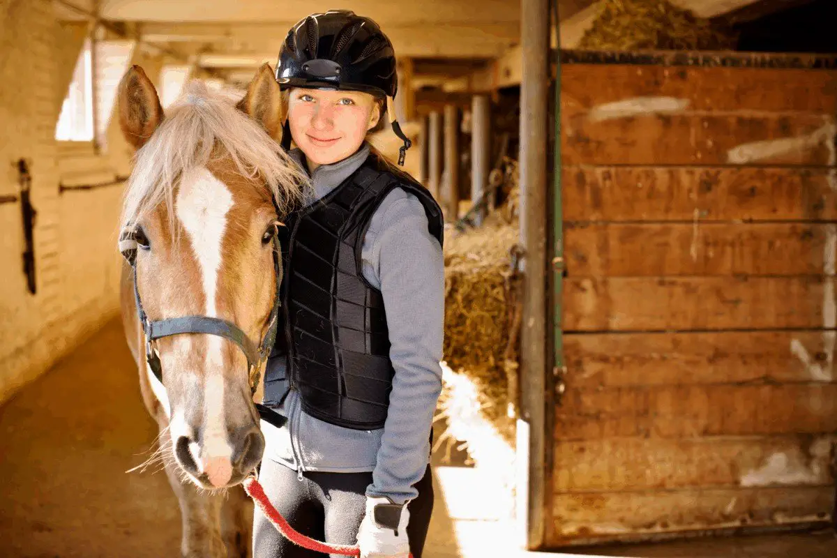 equestrian safety vest reviews