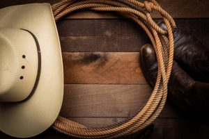 Best Lasso Rope for Beginners