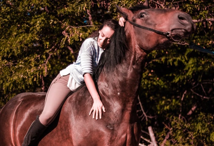 Do Horses Like Being Ridden: Signs Your Horse Is Unhappy