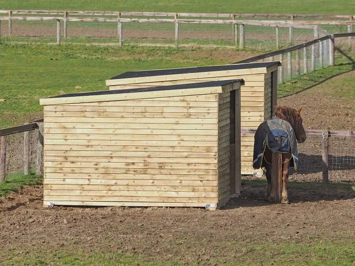 The Importance of DIY Horse Shelter
