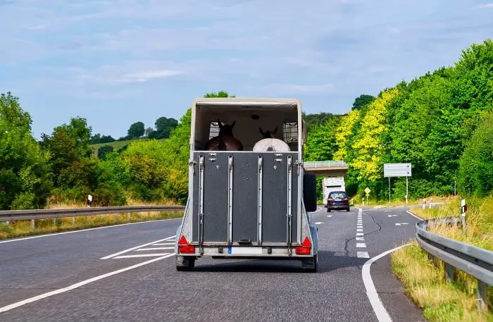 Where to Rent a Horse Trailer?
