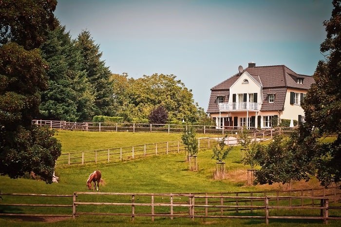 Can I Have a Horse on My Property: Physical Requirements