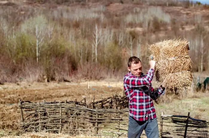 chopped hay for senior horses Hay Pellets