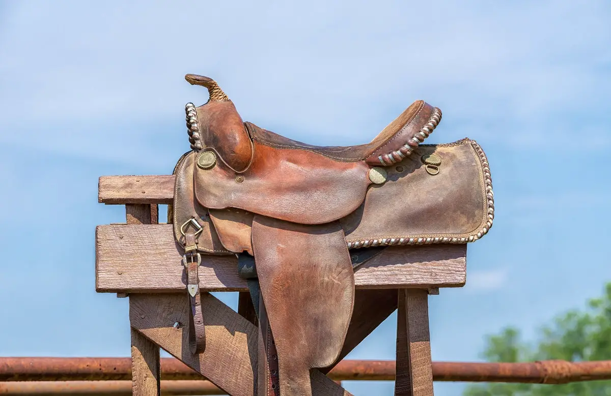 The Parts Of A Saddle