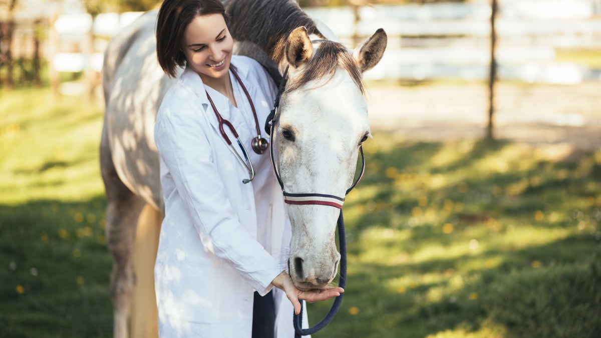 Best Wormer for Pinworms in Horses