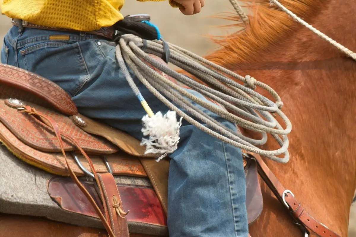 rope used by a cowboy