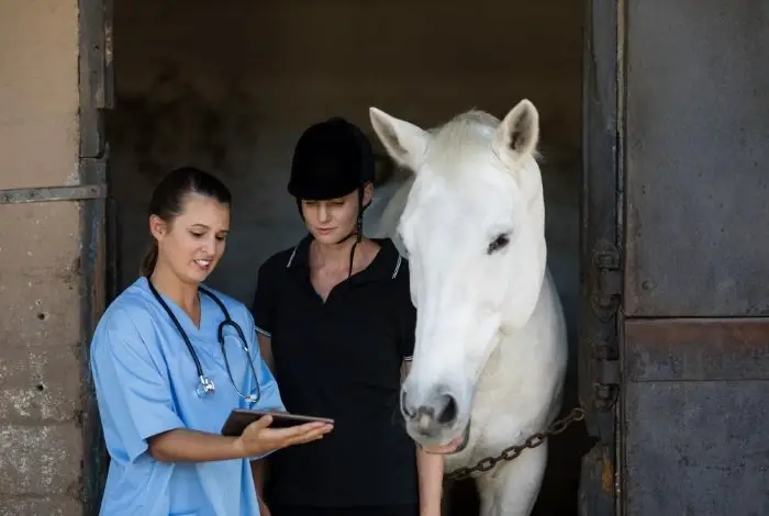 Adult Horses Vaccination Schedule