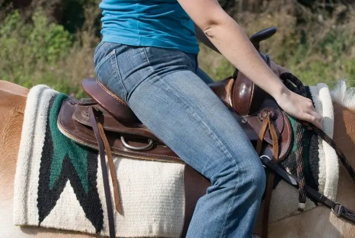 Best Horseback Riding Jeans - Jeans are NOT all the same