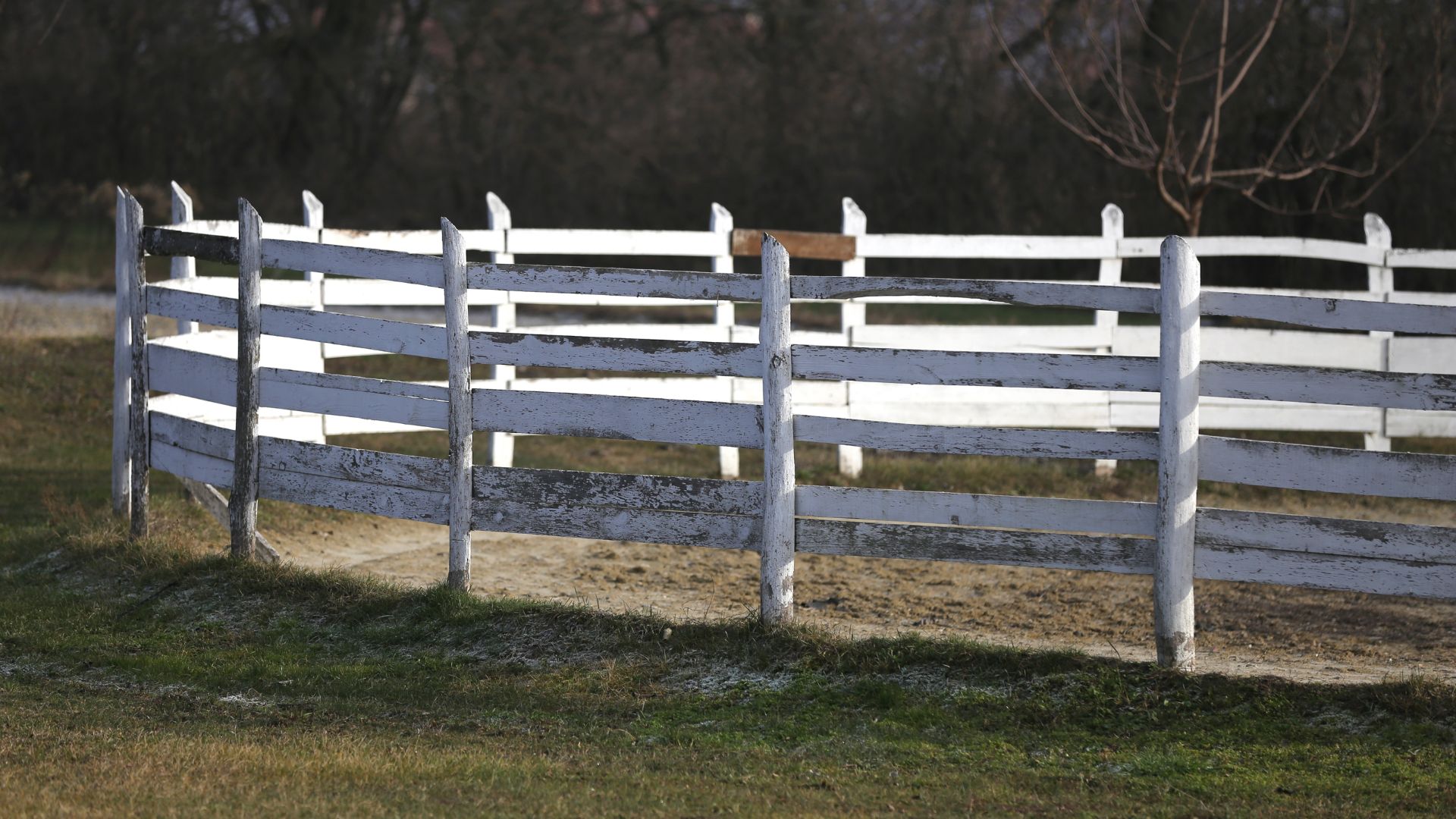 Round Pens for Horses