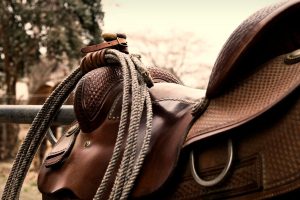 3 Best Roping Saddles On The Market