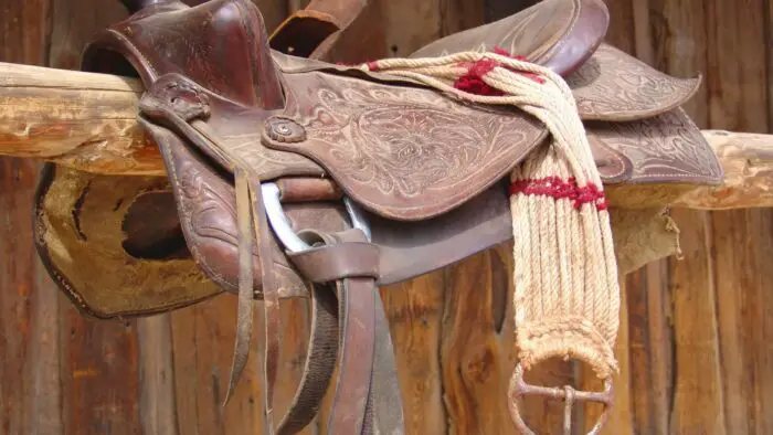 ranch saddle vs roping saddle