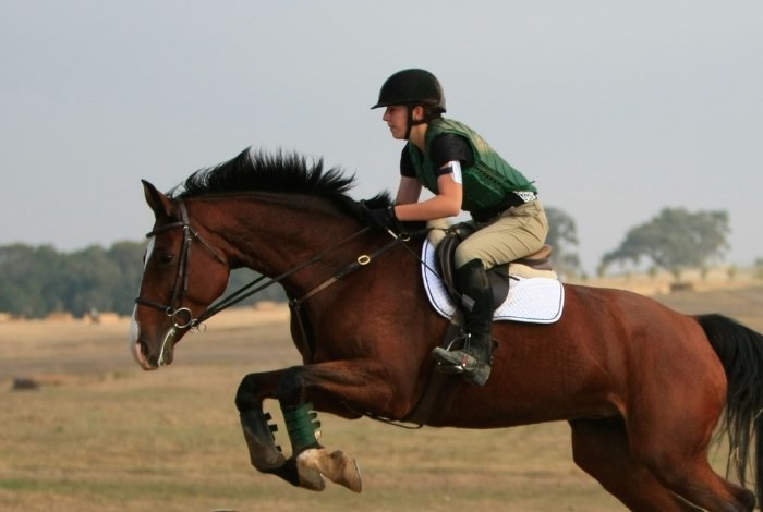 Equestrian Air Vests