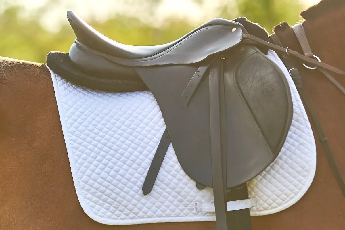 What Is The Best Saddle Pad For Barrel Racing - Top 6
