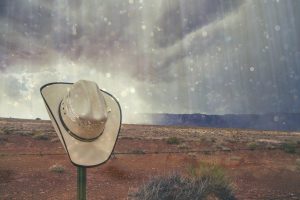7 Best Cowboy Hats For Rain