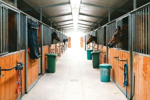 What Is The Average Horse Stall Size