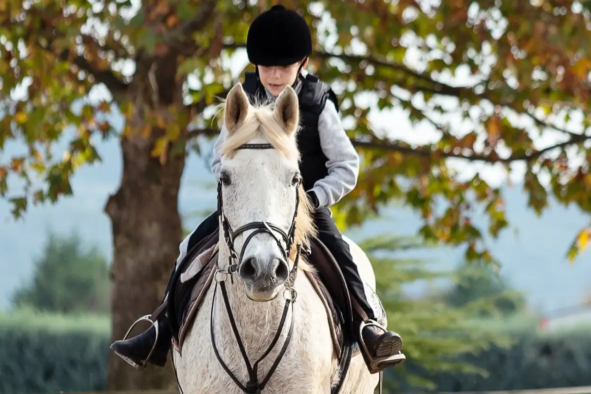 Childrens Kids Equi-Leather Horse Riding Lace Plain Diamante Show Boots All Size 