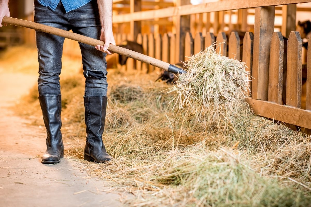 Best Boots For Barn Work - Our Favorites