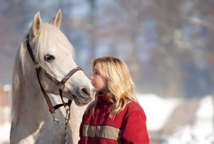 Horses Recognize Human Emotion