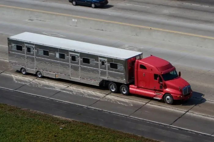 How Much Does Horse Trailer Insurance Cost