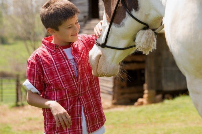 Tearjerker Movie On Netflix - The Horse Boy