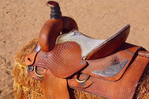 Western Saddle Brands To Avoid