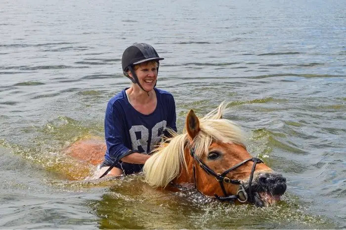 Can You Ride A Horse When It Is Swimming