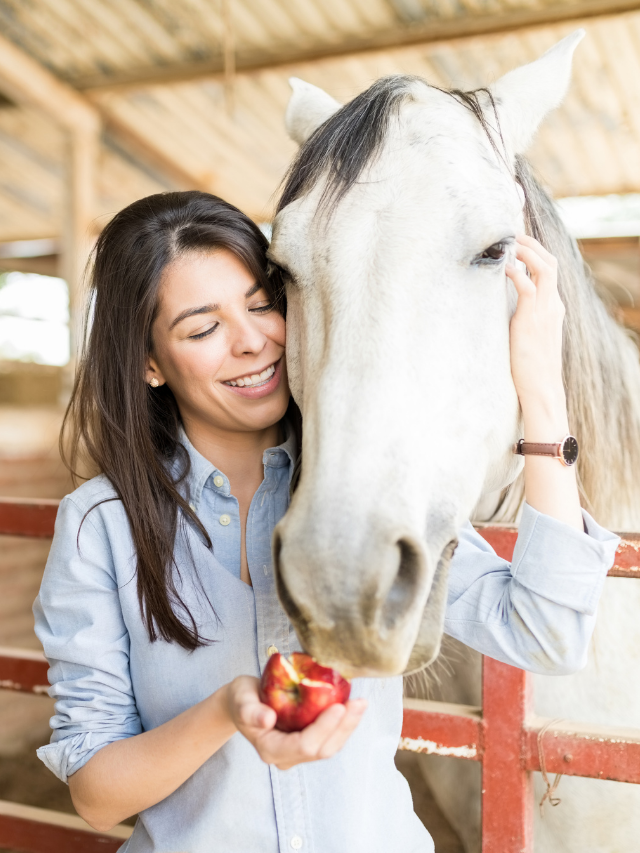 Caring For Horses: Information For Beginners