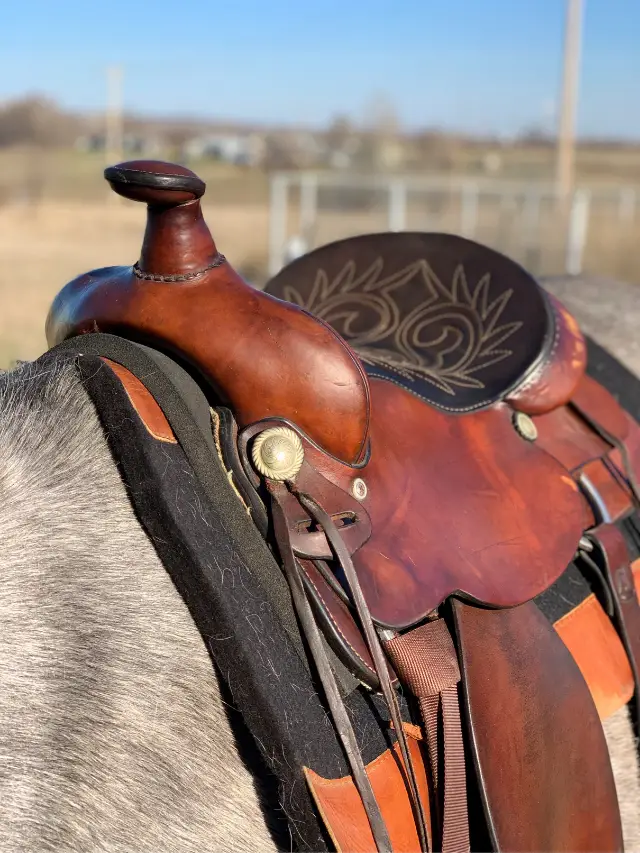 How To Clean A Western Saddle?