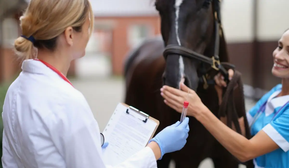 What Does High Fibrinogen Mean In Horses