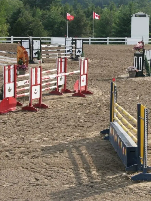 How High Are Grand Prix Jumps?