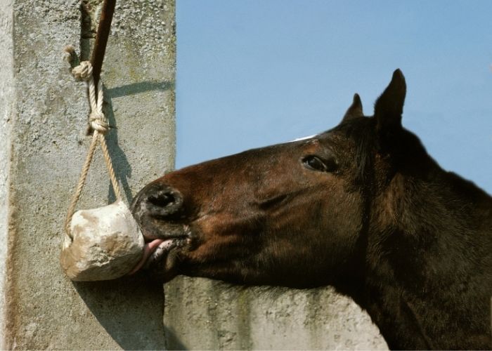 loose minerals for horses