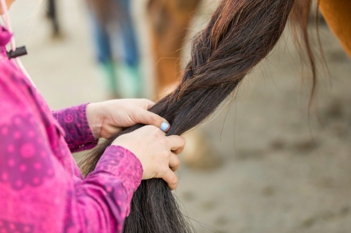Fishtail - Horse Hair Style