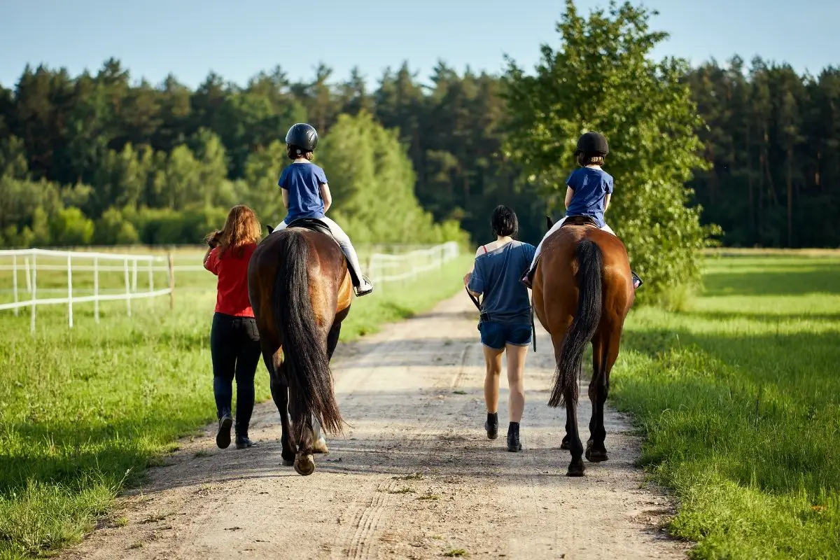 Riding Instructor Certification - Is it Necessary
