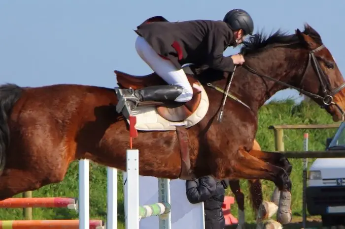 Best Stirrups For Jumping