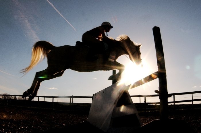 Common Causes Of Horse Jumping Accidents