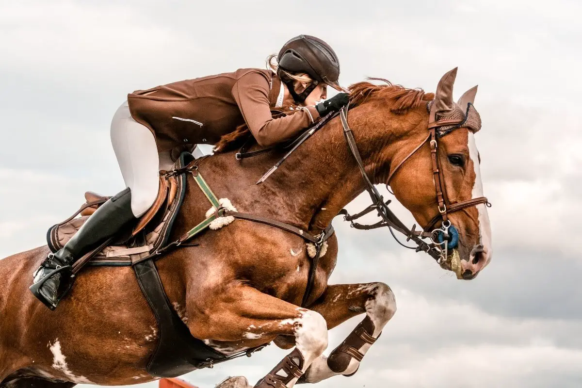 Horse Show Jumping Attire - Rules And Etiquette Explained!