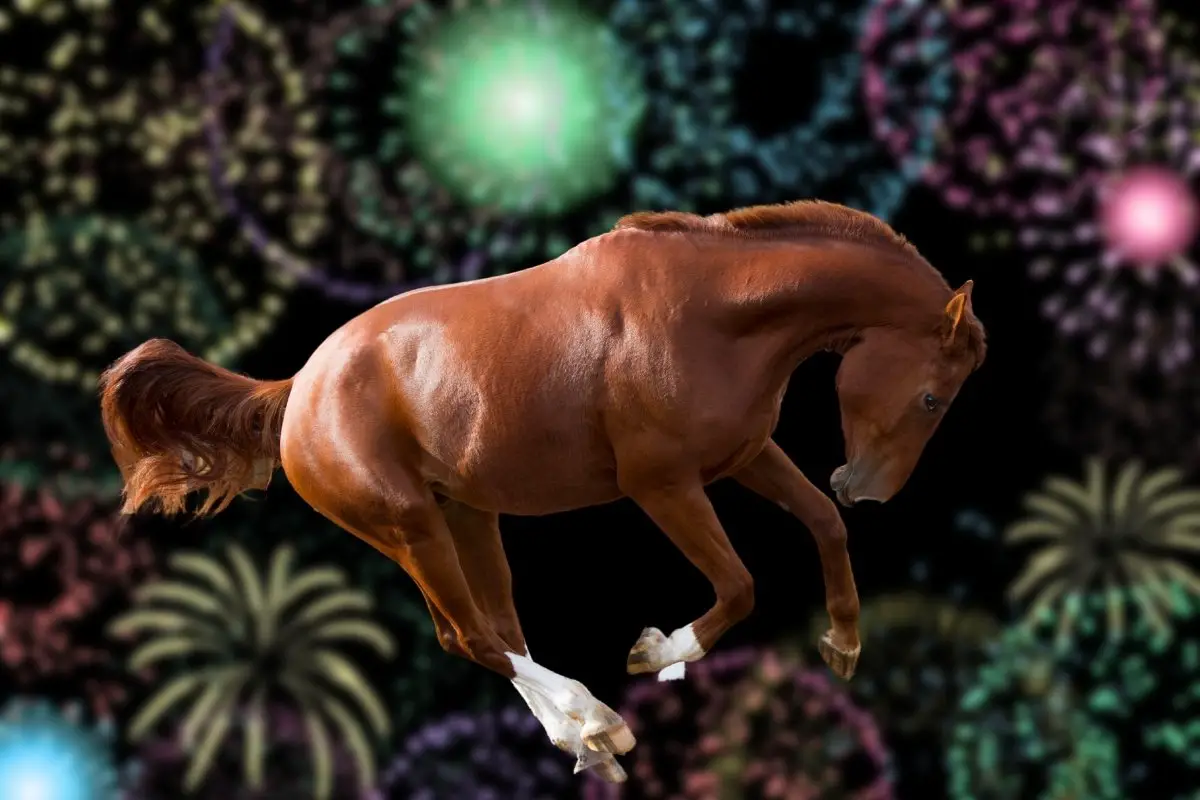 Horses And Fireworks - How To Solve This Difficult Problem
