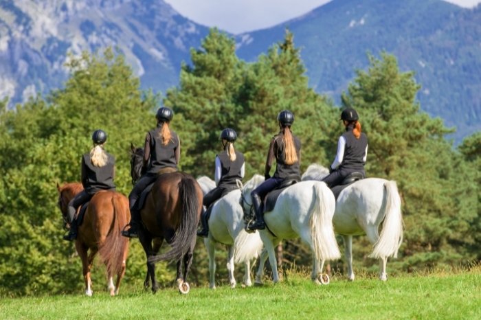 How To Pick The Best Riding Horse Breeds