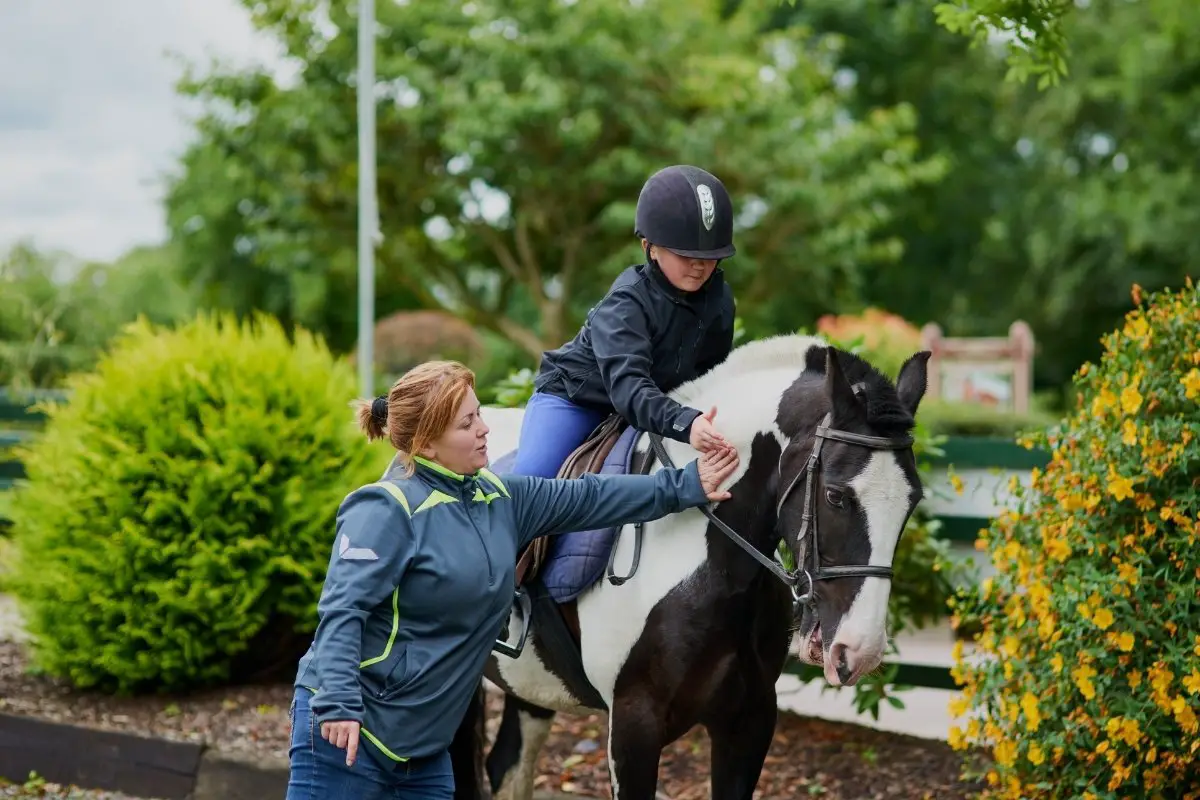 Horse Riding Trainers - Everything You Should Know About The Profession